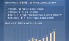 鸿蒙智行2025年交付58.9万辆 问界M9连续20个月第一