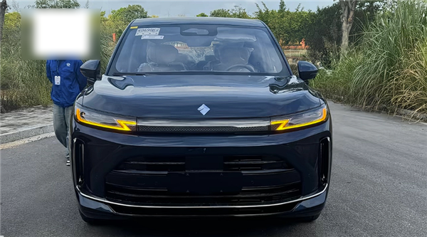 问界M9亲民平替 宝骏华境S内饰曝光：新势力有的基本都配齐